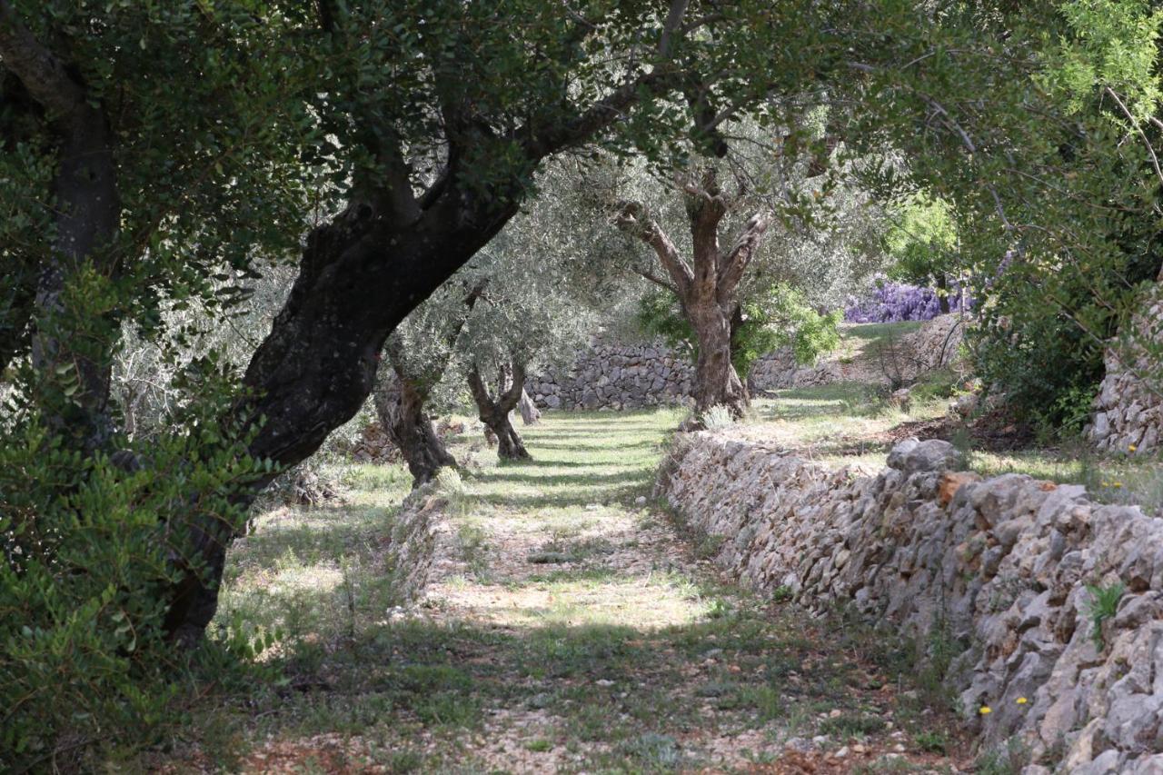 Villa Foia Vella - Adults Only Benigembla ภายนอก รูปภาพ